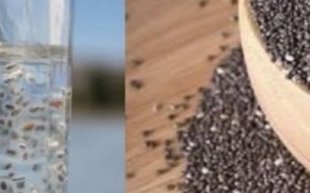 Anti-Aging After 50: 10 Scientifically Proven Foods to Reverse Your Age