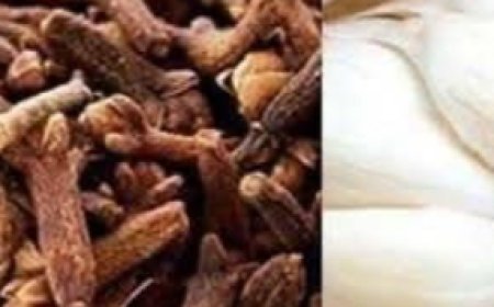 Daily Clove Chewing Benefits: A Simple Habit for a Stronger, Healthier You