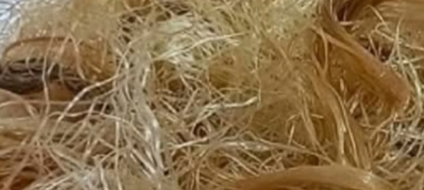 Corn Silk: 30 Impressive Health Benefits and How to Use It Naturally