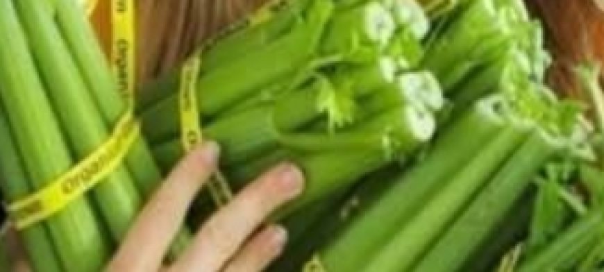 Celery Juice to Cleanse Kidneys, Liver, and Lungs