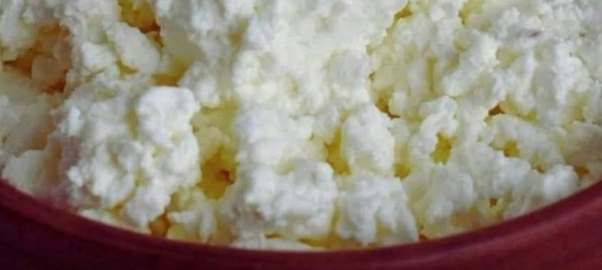 6 Reasons to Add Cottage Cheese to Your Diet