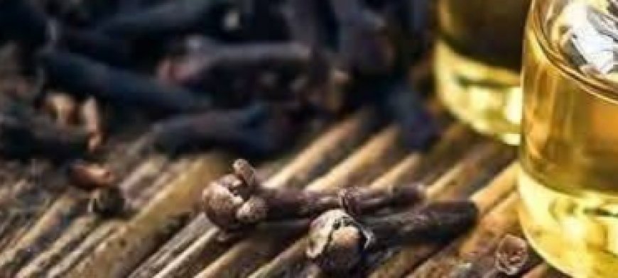 Mixing Garlic and Honey with Cloves: The Secret No One Will Ever Tell You