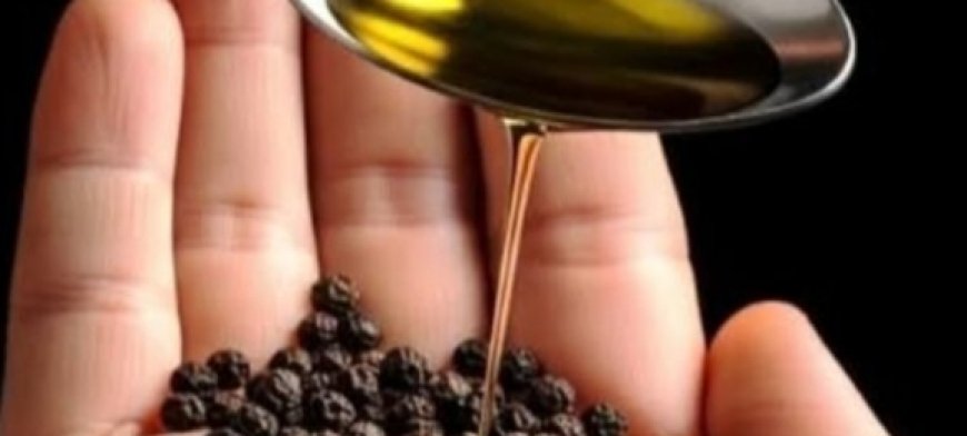 Old Doctors’ Secret: Mix Olive Oil + Black Pepper to Fix 11 Problems After 60 — See Results in 1 Week