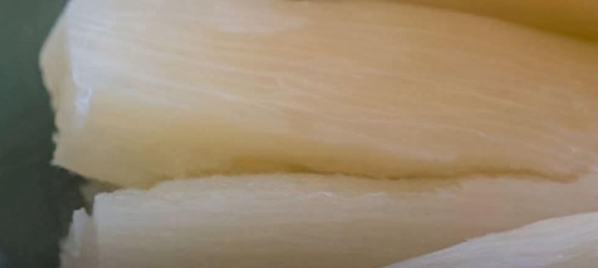 World’s Deadliest Food: Why People Still Eat Cassava