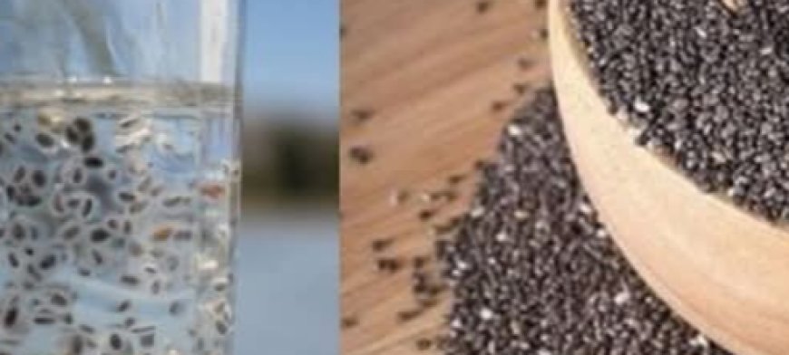 Anti-Aging After 50: 10 Scientifically Proven Foods to Reverse Your Age