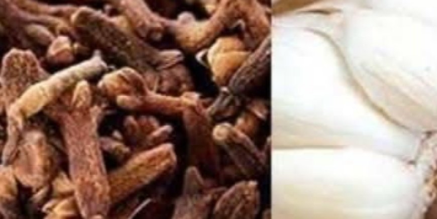 Daily Clove Chewing Benefits: A Simple Habit for a Stronger, Healthier You
