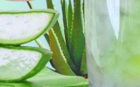 Aloe Vera with Cinnamon: The Home Remedy That Protects Your Health and Vision