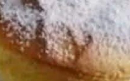 Delicious Soufflé Cups