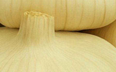 Chayote Juice: A Gentle Natural Ally for Kidney Support and Comfort?