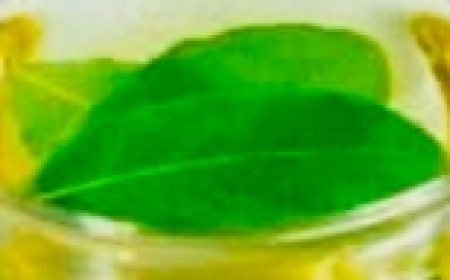 Bay Leaves: A Natural Remedy for Joint Pain