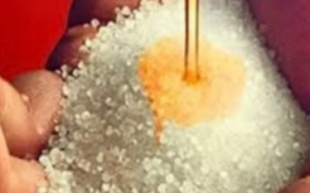 Castor Oil and Epsom Salt: Rub It Here to Quickly Fix 13 Health Issues, Say Old Doctors!