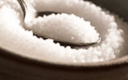 Single Ingredient for People with Obesity: Benefits and Usage