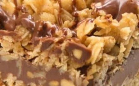 No Bake Chocolate Oat Bars