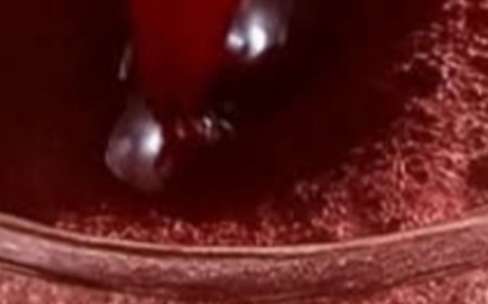 Discover the Secret Elixir from Your Avocado Pit