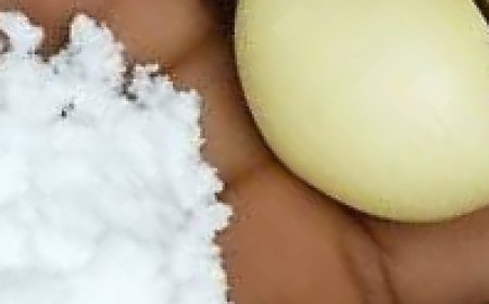 Unveiling the Potential of Garlic Salt to Whiten Yellow Teeth – Nature’s Remedy for a Dazzling Smile