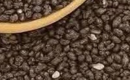 See what chia seeds do for your body and learn how you can naturally improve your wellness with this amazing superfood