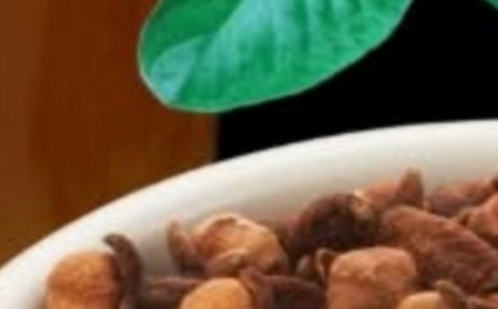 Ginger, Lemon, and Honey Drink: The Natural Elixir That Revitalizes Body and Mind