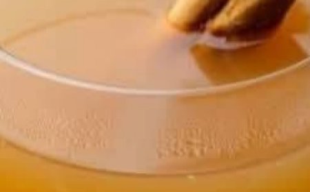 No one should suffer from cancer or lose their sight: the natural remedy that strengthens your eyes and boosts your immune system