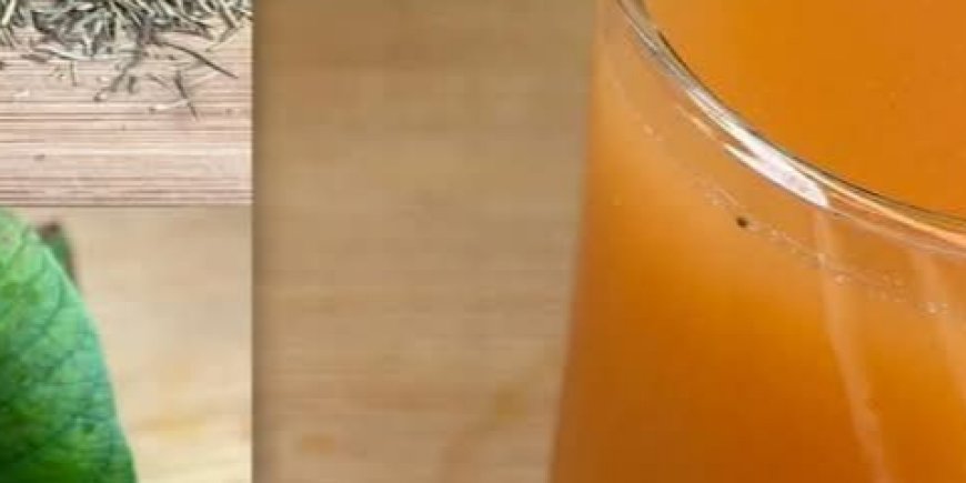 Powerful Harbel Drink for Energy, Degust, at Bloody Little Blanc