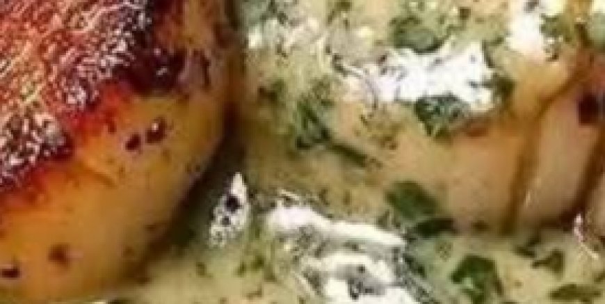 Sizzling Scallops with Zesty Lime Cilantro Sauce