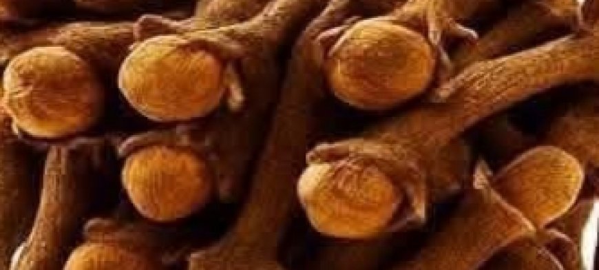 18 Powerful Ways to Use Clove Tea: Your Warm Ally for Natural Wellness Boosts?