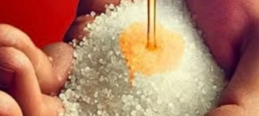 Castor Oil and Epsom Salt: Rub It Here to Quickly Fix 13 Health Issues, Say Old Doctors!