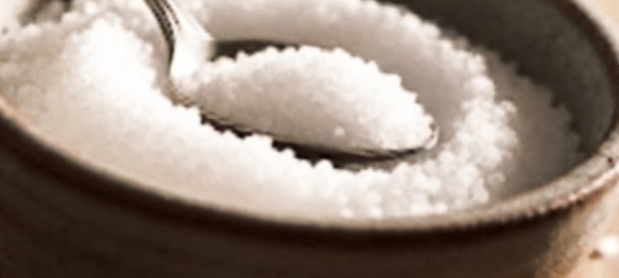 Single Ingredient for People with Obesity: Benefits and Usage