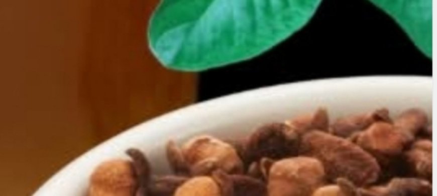 Ginger, Lemon, and Honey Drink: The Natural Elixir That Revitalizes Body and Mind