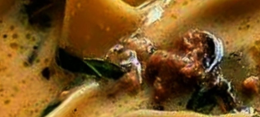 Creamy Alfredo Lasagna Soup: A Comforting Twist on a Classic