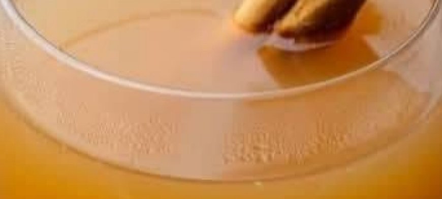 No one should suffer from cancer or lose their sight: the natural remedy that strengthens your eyes and boosts your immune system