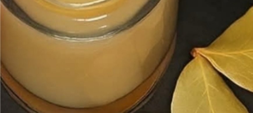 Smooth Skin’s Secret Leaf: Bay Leaf Remedy That Erases Wrinkles Naturally Overnight