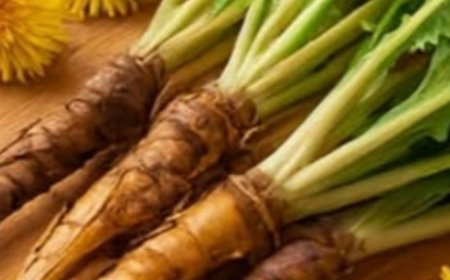 Dandelion Infusion: The Natural Secret for Simple, Everyday Wellness