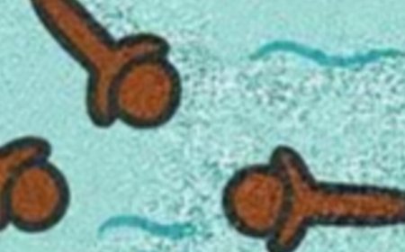 Clove Water Sitz Baths for Women: A Gentle Guide to Hygiene and Comfort