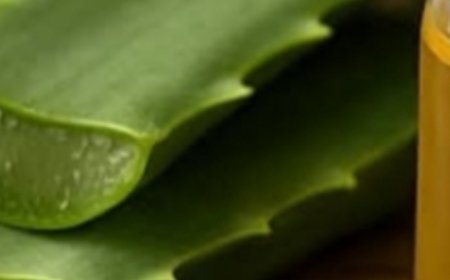 Embrace Youthful Skin with Aloe Vera and Castor Oil