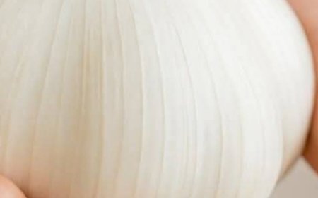 The One Food Ancient Armies Carried Into Battle That Still Destroys Modern Superbugs Today: Garlic