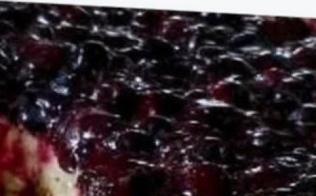 Fresh Blueberry Cheesecake Recipe Recap