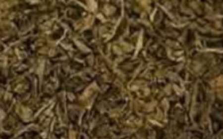 Discover the Power of a Simple Homemade Drink for Better Health and Vitality