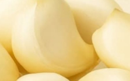 14 Life-Changing Benefits of Taking Raw Garlic on an Empty Stomach