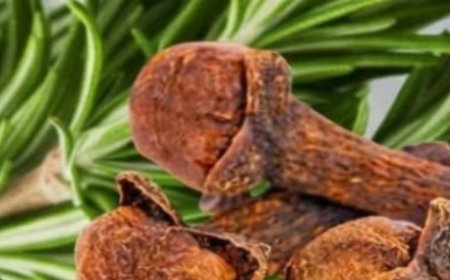 Rosemary and Cloves: A Powerful Natural Combination for Hair, Skin, Digestion, and Pain Relief