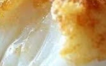 CRISPY AIR FRYER COD