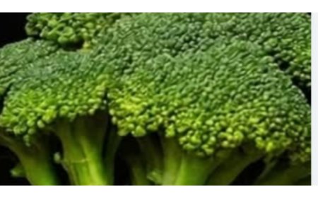 The 5 Foods That Are Silently Feeding Cancer Cells