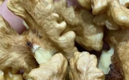 Doctors reveal what eating nuts can cause…