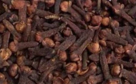 I Chew Cloves And Say Goodbye to 10 Years of Diabetes.. I’ll Give You The Recipe