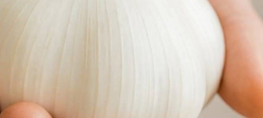 The One Food Ancient Armies Carried Into Battle That Still Destroys Modern Superbugs Today: Garlic