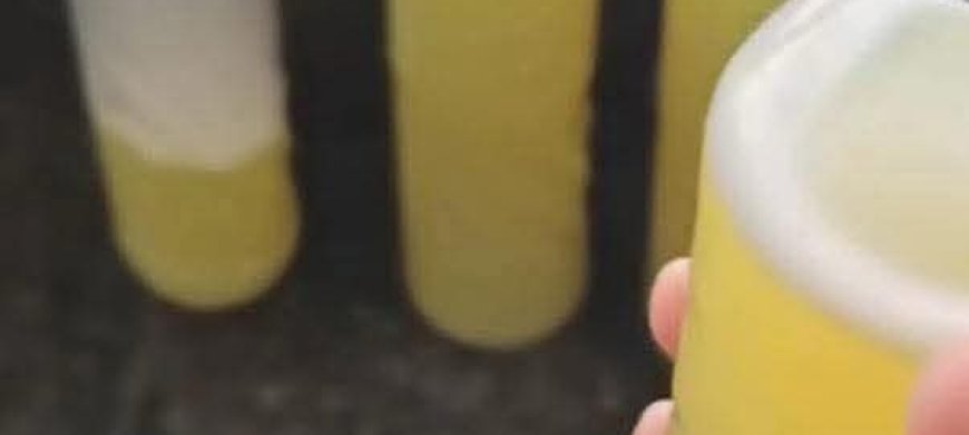 Powerful Homemade Multi-Purpose Cleaner Using Lemon Peels: Save Money and Clean Better