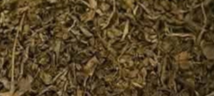 Discover the Power of a Simple Homemade Drink for Better Health and Vitality