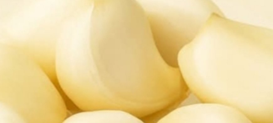 14 Life-Changing Benefits of Taking Raw Garlic on an Empty Stomach