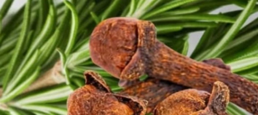 Rosemary and Cloves: A Powerful Natural Combination for Hair, Skin, Digestion, and Pain Relief