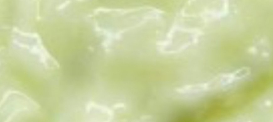 How to Eliminate Wrinkles with a Natural Ingredient: Cucumber