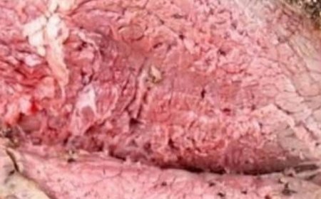 Pepper Parm Prime Rib